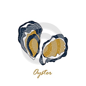 Oyster set. Isolated oysters on white background. Hand drawn  illustration with texture