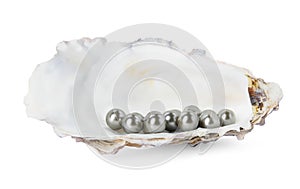Oyster shell with black pearls on white background