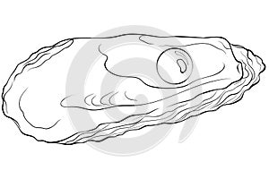 Oyster shell with pearl line art