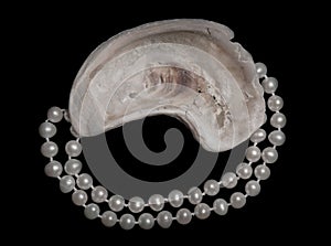 Oyster shell and a pearl necklace