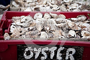 Oyster shell seafood