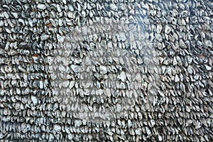 Oyster shell wall