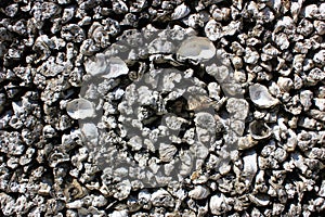 Oyster shell walls