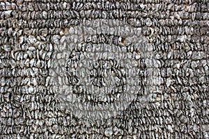 Oyster shell walls