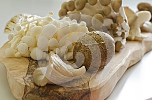 Oyster, shiitake, enoki and shimoji mushrooms