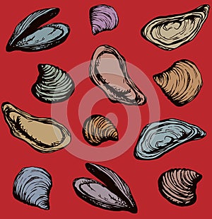 Oyster. Vector drawing