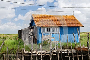 Oyster village Oleron France