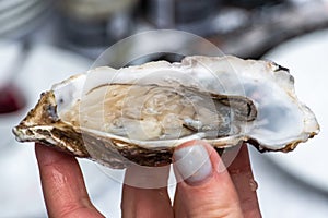 Oyster in the wet hand of a girl with painted nails