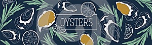 Oysters banner  template. Shellfish and seafood restaurant or fishery product market banners template. Hand drawn