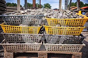 Oysters baskets in the port of La Teste, Bassin d`Arcachon, France