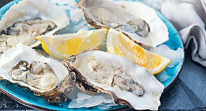 Oysters close-up on blue plate, served table with fresh oysters, lemon and ice. Healthy sea food. Fresh Oyster dinner in restauran