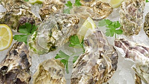 Oysters on crushed ice