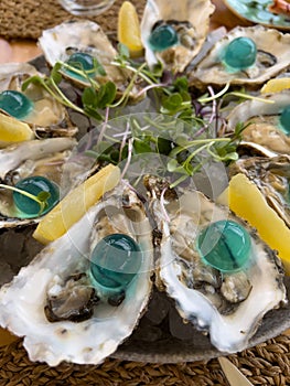 Oysters with gin bubbles