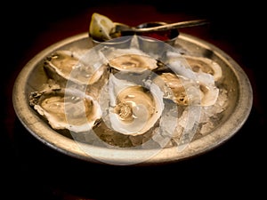 Oysters on the half-shell