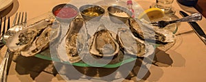 Oysters on the Half Shell on Ice