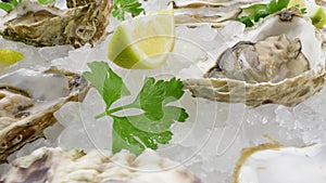 Oysters on half shell on ice