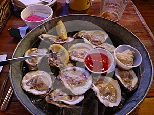 Oysters on the Halfshell