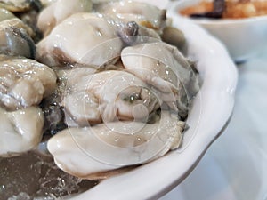 Oysters, health benefits  Enhance sexual function, stimulate the reproductive system