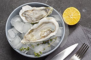 Oysters with ice in bowl. Lemon knife and fork on table
