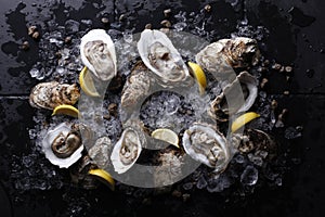 Oysters with ice and lemon