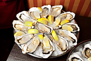 Oysters with ice and lemon in white plate