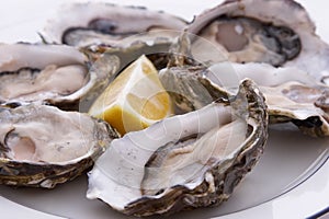 Oysters and Lemon