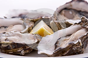 Oysters and Lemon