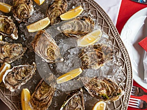 Oysters with lemon and ice on the plate