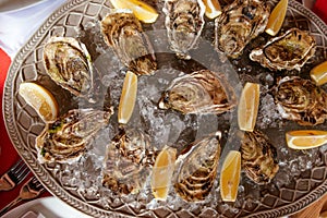 Oysters with lemon and ice on the plate