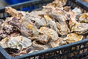 Oysters market in Cancale, France