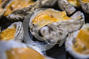 Oysters in a pan in a creamy sauce and cheese. Against a table background