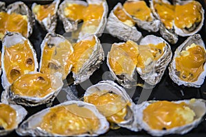 Oysters in a pan in a creamy sauce and cheese. Against a table background