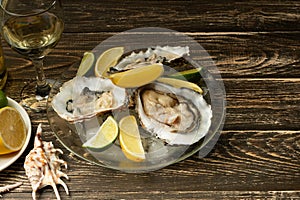 Oysters in a plate with ice and lemon, with a glass of white dry wine on a wooden background. Seafood, restaurant, exquisite taste