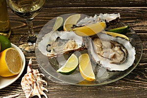 Oysters in a plate with ice and lemon, with a glass of white dry wine on a wooden background. Seafood, restaurant, exquisite taste