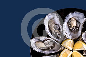 Oysters plate with lemon on blue background.