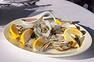 Oysters plate