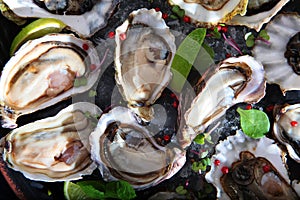 Oysters on platter. Several varieties of oysters. Square photo format. Flat lay. Top view.