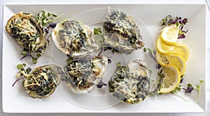 Oysters rockefeller on plate