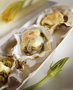Oysters Rockefeller with Squash