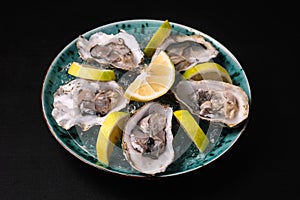 Oysters served with lemon and ice on blue plate on black background