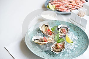 oysters and shrimp plate on the table