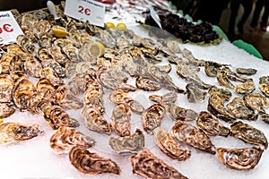 Oysters at the street market in Barcelona, Spain. Afrodisiac food