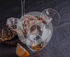 Oysters on the table with lemon and white wine