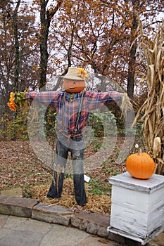 Ozark scarecrow