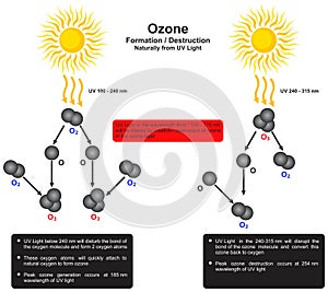 Ozone formation destruction naturally from UV light infographic diagram chemistry science