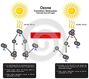 Ozone formation destruction naturally from UV light infographic diagram chemistry science photo