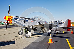 P-51D Mustang Fighter Plane Display