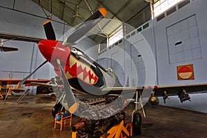 P-51D Mustang