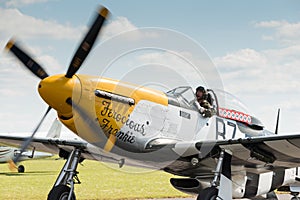 P51 Mustang Vintage Aircraft