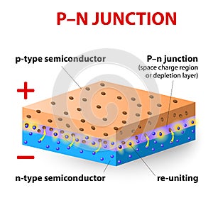 P-n junction. How does this work
